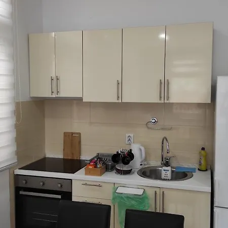 Mejtas - Center Of Apartment *